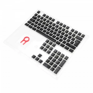 SCARAB Double shot PBT pudding keycaps black.
