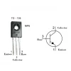 Transistor BD137 NPN.